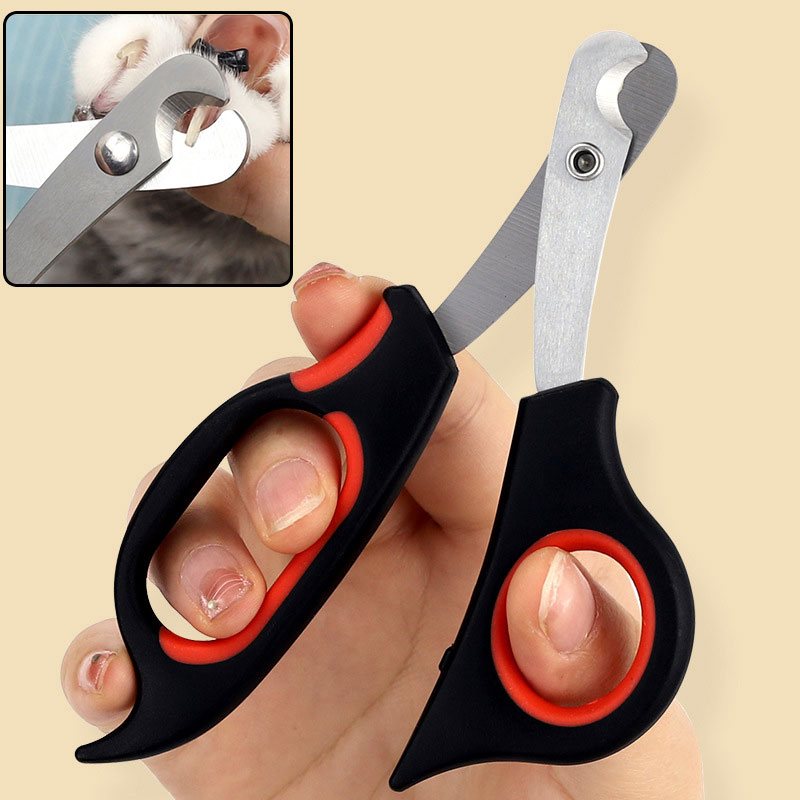 Nożyczki do paznokci dla zwier – Grooming Scissors recenzja i cena