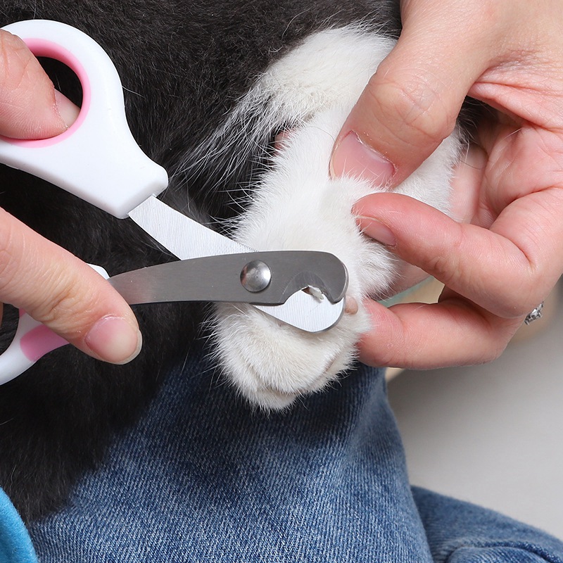 Nożyczki do paznokci dla zwier – Grooming Scissors recenzja i cena